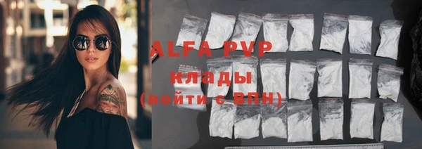 гидра Гусев