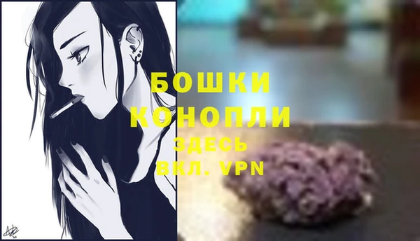 дурь Гусь-Хрустальный