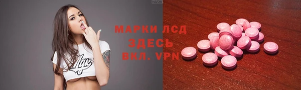 гидра Гусев