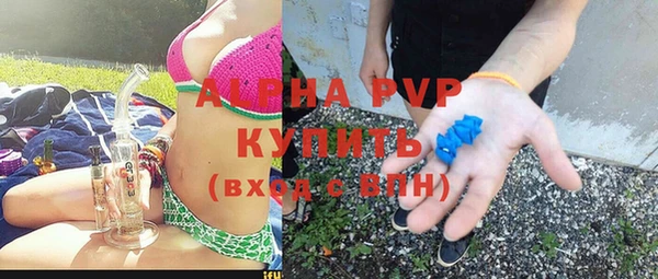 гидра Гусев
