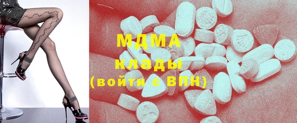 гидра Гусев