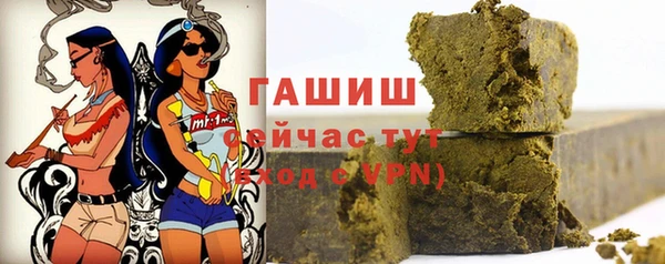 гидра Гусев