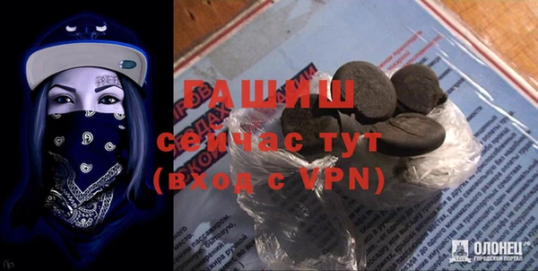гидра Гусев