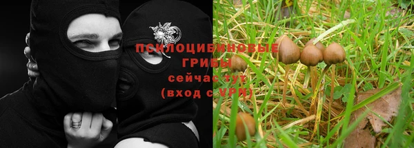 дурь Гусь-Хрустальный
