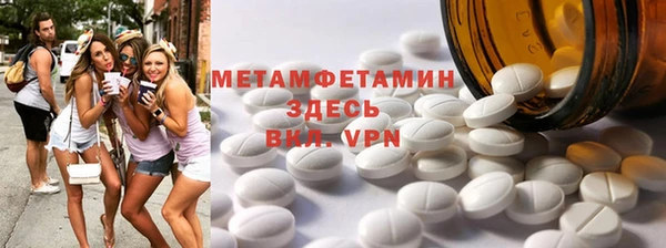 гидра Гусев
