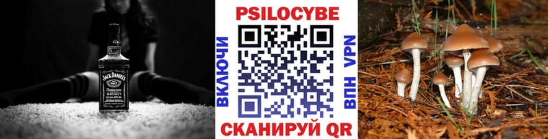 Купить закладки  Ардон  Псилоцибиновые грибы ЛСД 